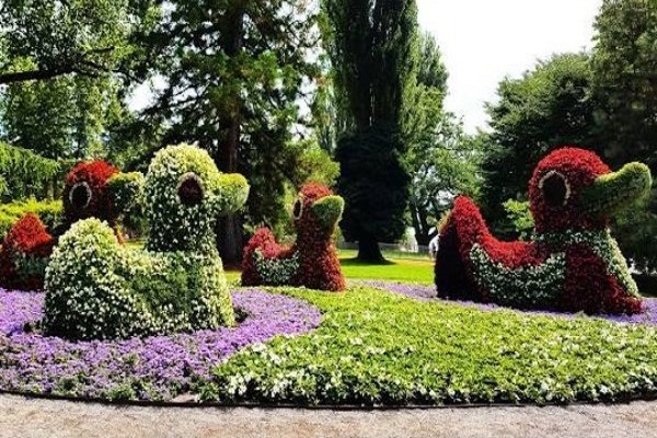 Lake Constance - 3 Countries By Boat