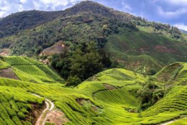 Peninsula Malaysia with Langkawi