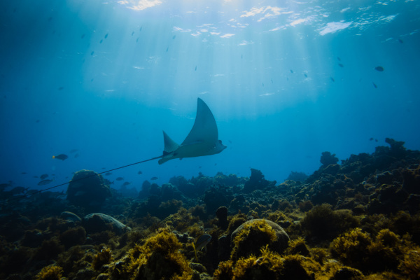 Discover the Spirit of Nicaragua