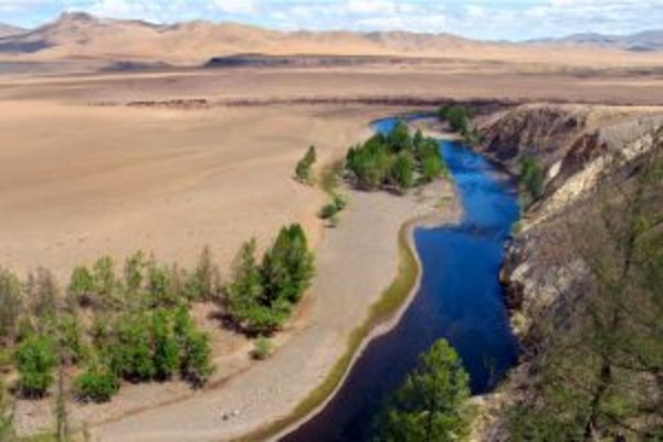 Camel Trek through Central Mongolian Grasslands