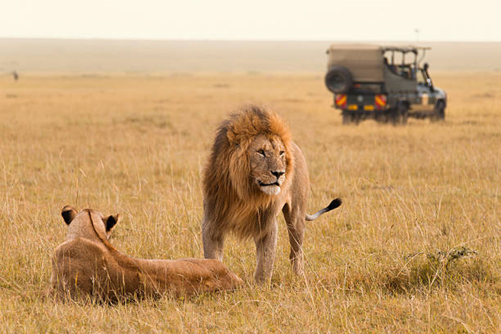 Kenya Classic (Sopa Lodges)