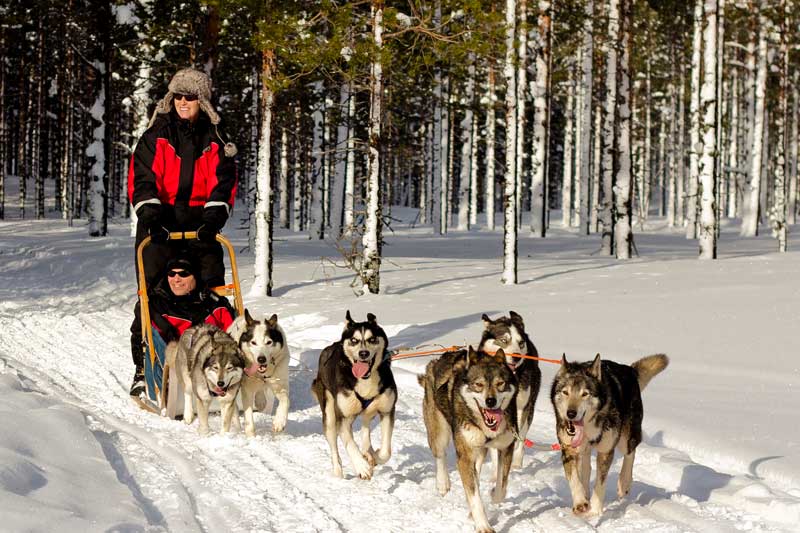 Unforgetful Fabulous Lapland