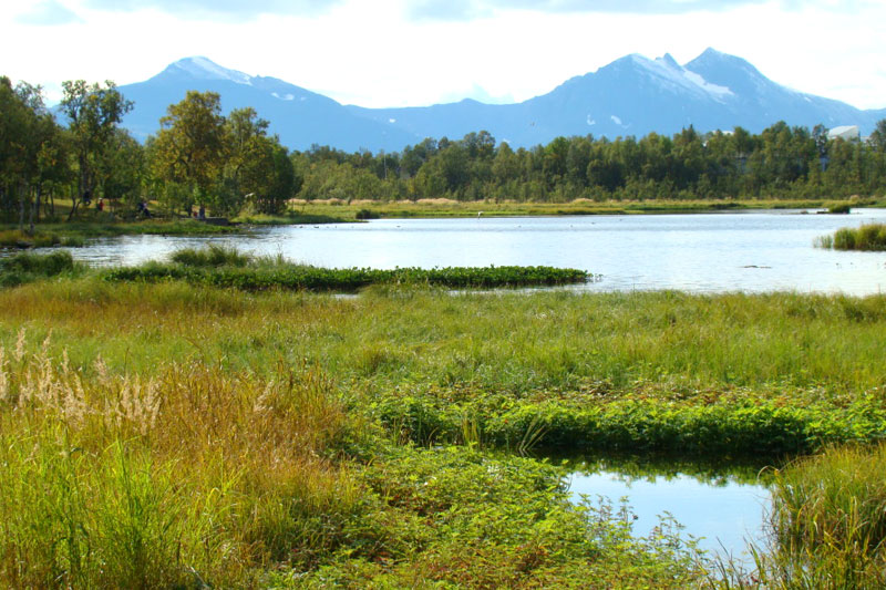The Lofoten and Vesterålen Islands