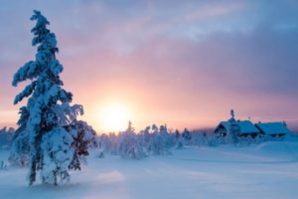 Seeking the Northern Light