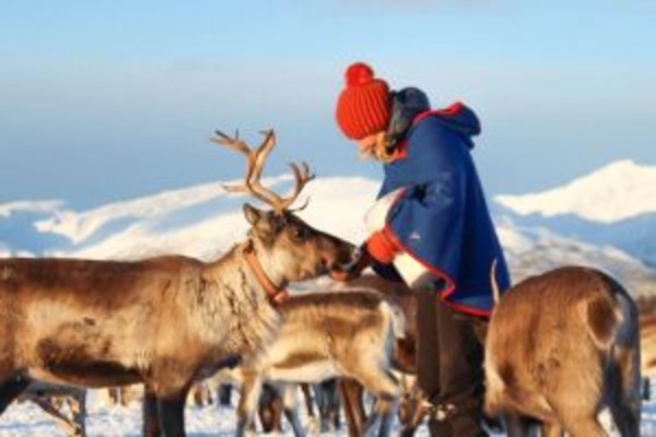 Scandinavian Capitals – Denmark, Norway, Sweden & Finland