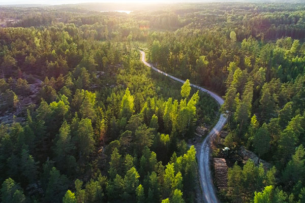 Golden Route Across Norway