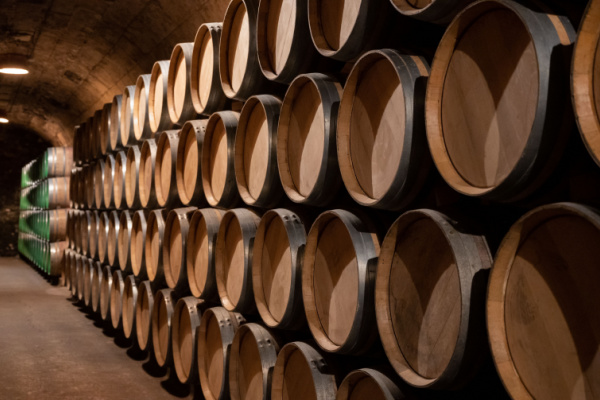 Rioja Wine Tour