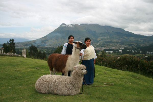 Amazon and Andes Tour