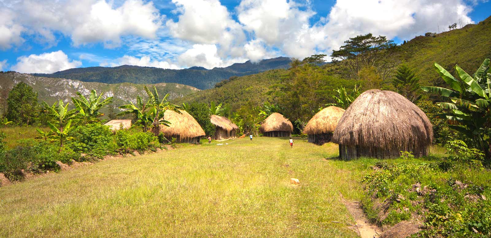 Papua New Guinea