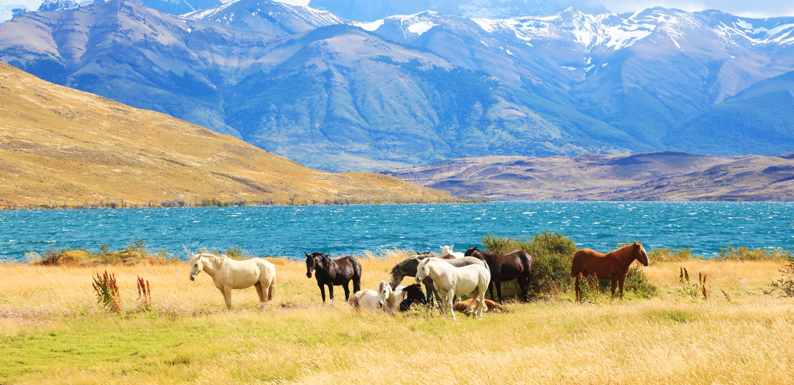 Patagonia