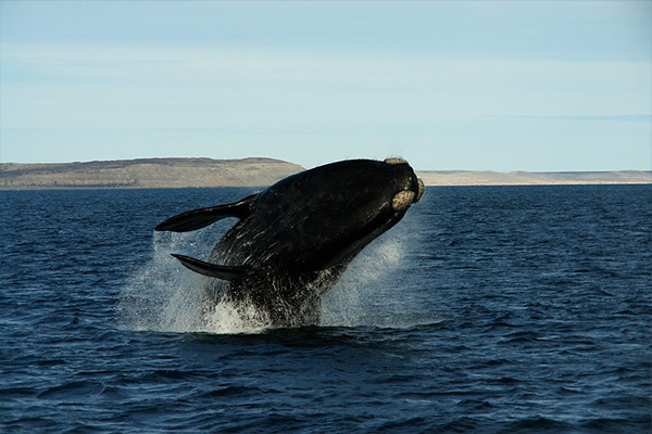 Treasures of the Route