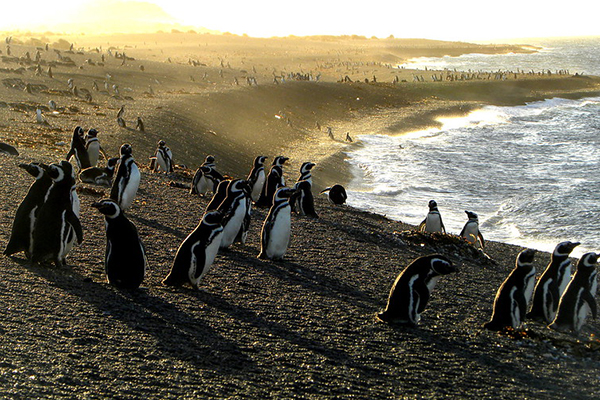 Treasures of the Route