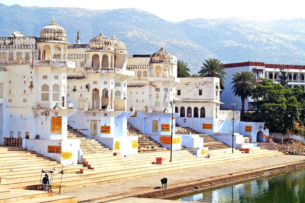 The Best of India