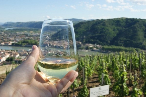 Provence's Hidden Waterways," "Camargue & Canals