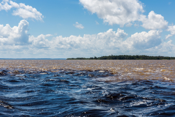 Amazon river discovery by cruise