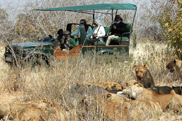 Serengeti and Zanzibar Safari