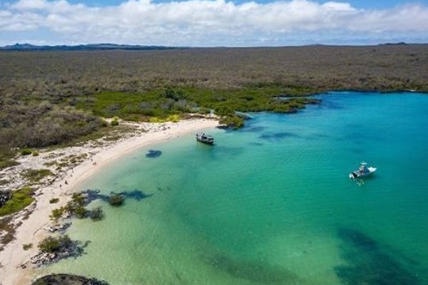 Discover The Wonders of Machu Picchu and Galapagos