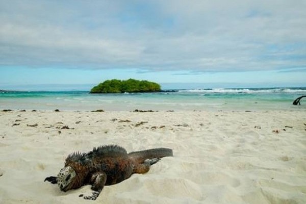 Galapagos Adventure