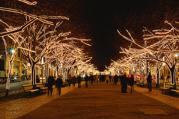 Christmas and Northern Lights Adventure