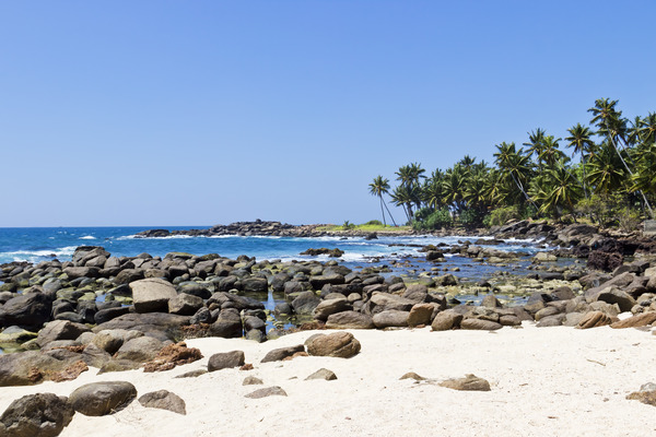 Sri Lanka Wildlife And Beach Tour