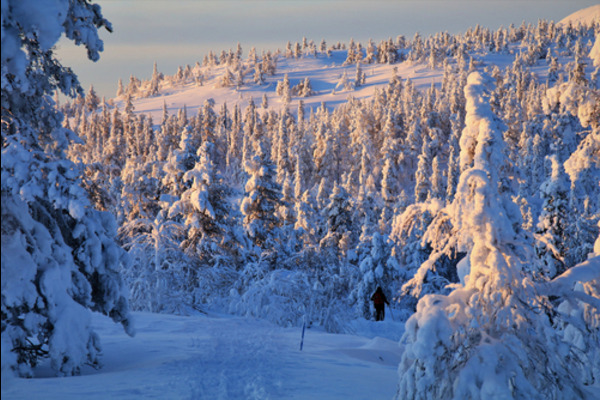 Finland Wonderland