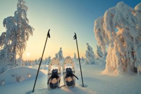 Ultimate Lapland