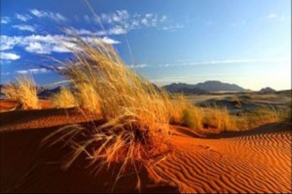 Classic Namibia