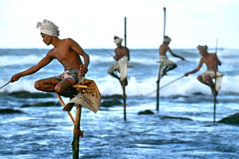 Sri Lanka Wildlife And Beach Tour