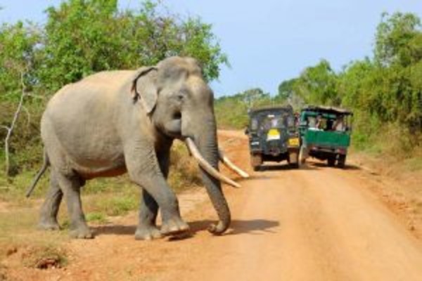 Sri Lanka Full Tour