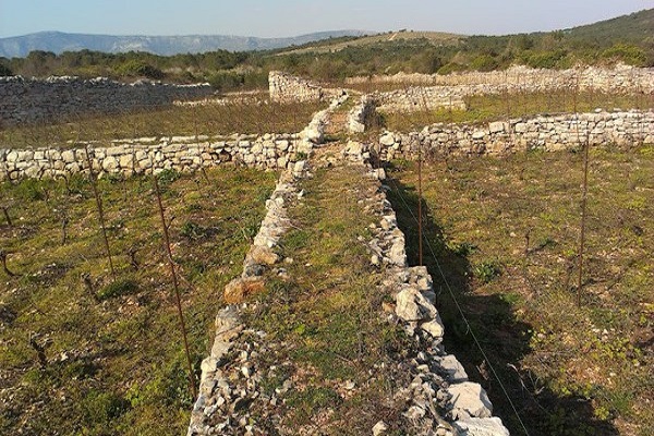 Round trip cruise  with Zadar