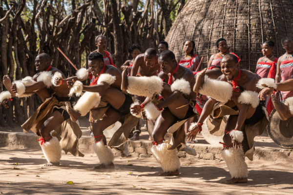 South Africa Odyssey