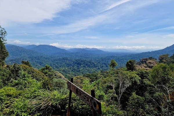 Immerse Taman Negara (Lata Berkoh)