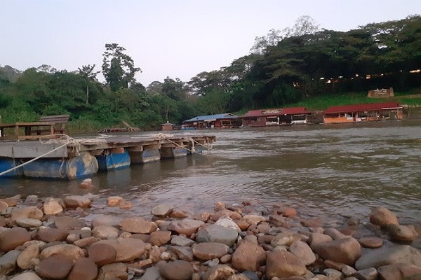 Immerse Taman Negara (Lata Berkoh)