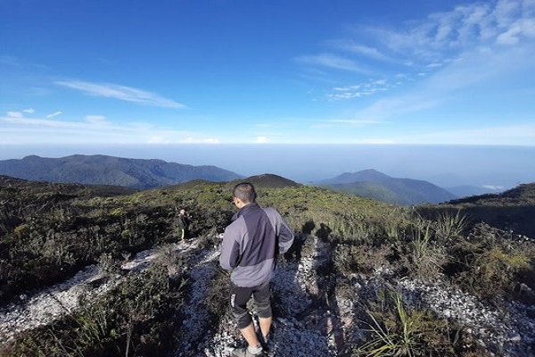 Immerse Taman Negara (Lata Berkoh)