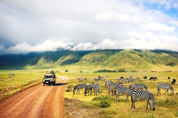Simba Safari Featuring Tanganyika Wilderness Camps