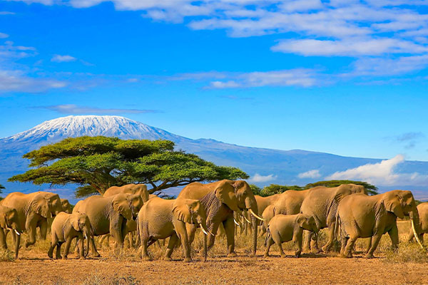 Through The Rift Valley (Sopa Lodge)