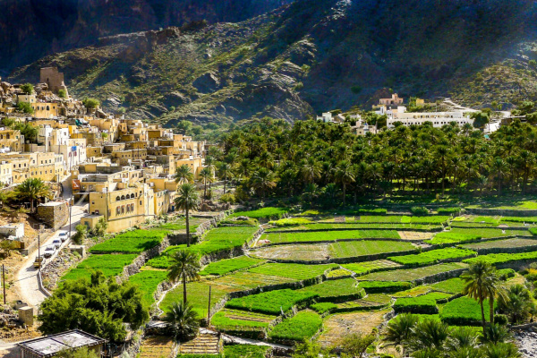 Cool and Green Oman