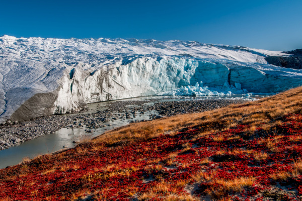 Dream Trip in Disko Bay