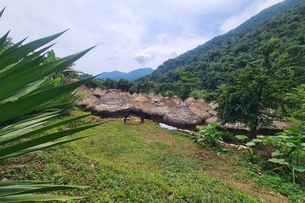 Explore Colombia from the Andes to the Caribbean