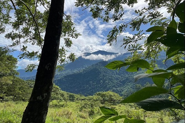 Colombia: Cartagena and Lost City Trek