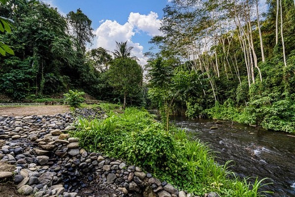 The Pala Ubud - 12 Bedroom - Ubud - Bali
