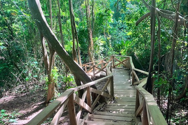 Colombian Discovery: Coffee, Culture, and Caribbean Charm