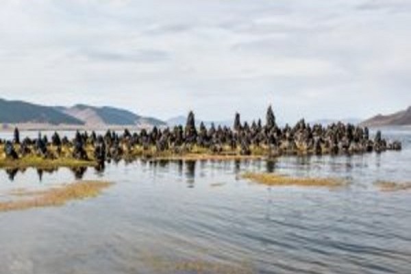 Orkhon Valley & Eight Lakes: Nomadic Trails Trek