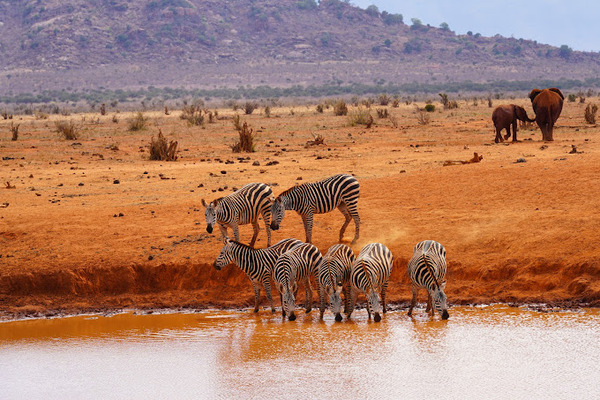 Kilimanjaro Safari To Mombasa Coast