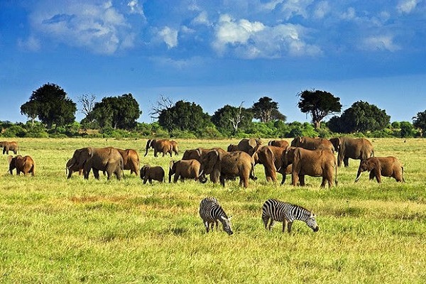 Kilimanjaro Safari To Mombasa Coast
