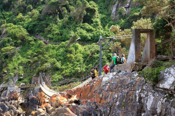 Garden Route Safari and Winelands