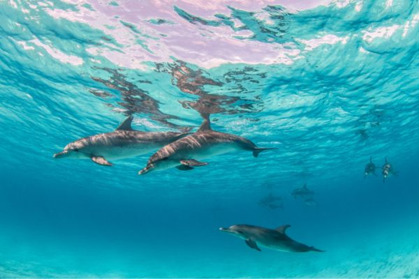 Discover Zanzibar