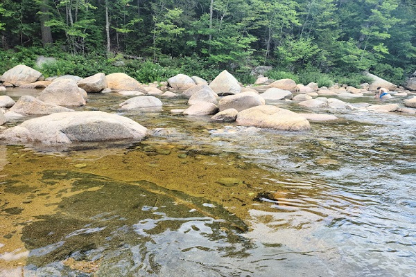 Colors Of New England