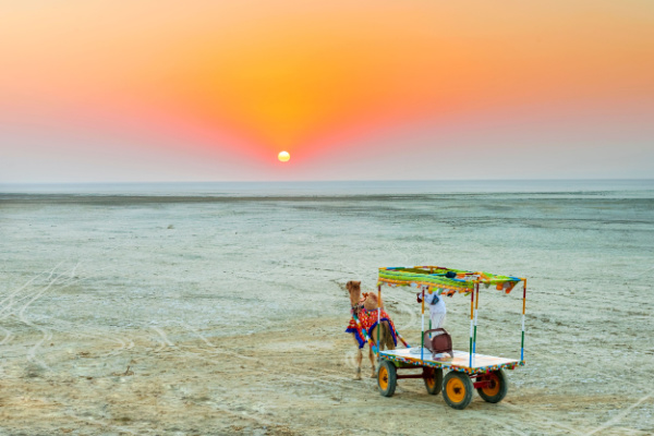 Highlights of Gujarat