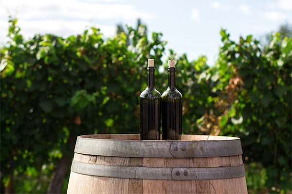 Rioja Wine Tour